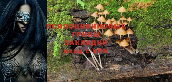твердый Карталы